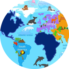 Boost general knowledge